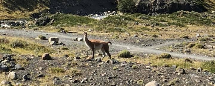 Gün 15 Torres del Paine