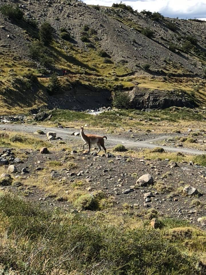 Gün 15 Torres del Paine