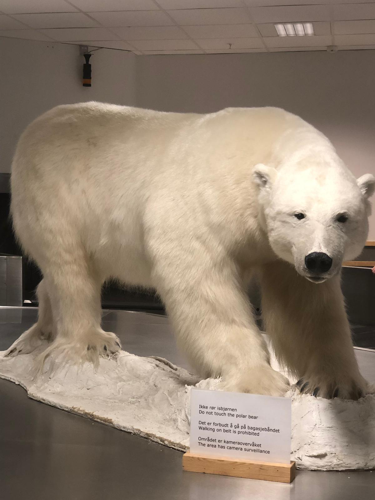 Svalbard’a yolculuk Gün 1